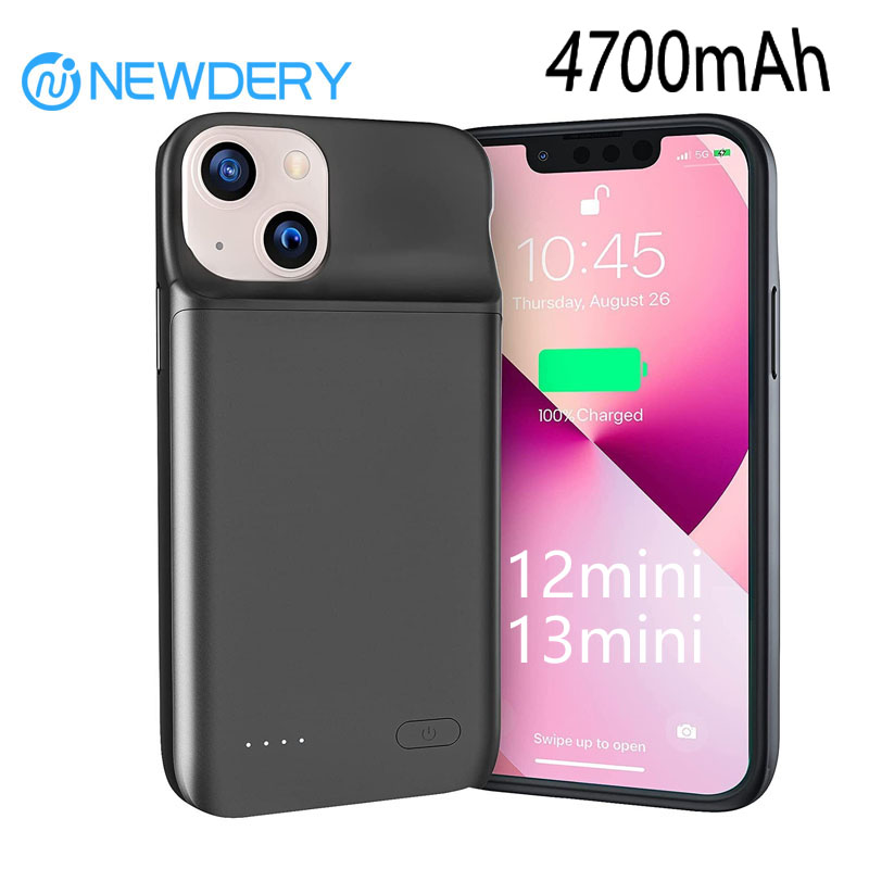 NEWDERY - Funda Cargadora de B - Power Bank Slim reseña y precio